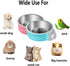 Rabbit Bowls Set, 4 PCS Big Pet Bunny Food Bowls and Stainless Steel Hanging Water Feeder for Big Bunny