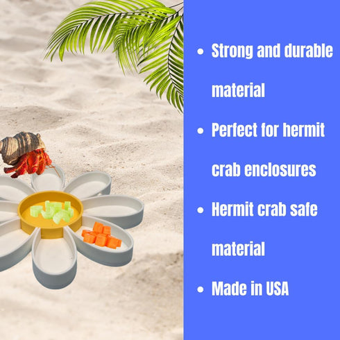 9 Hermit Crab Daisy Food Tray | Dividers Daisy Design | Great Feeder Dish for Crab, Lizard or Frog Terrariums | Made