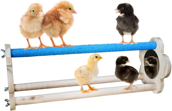 Vehomy Chicken Perch for Chicks Chicken Wood Stand with Mirrors Chick Stand Trainning