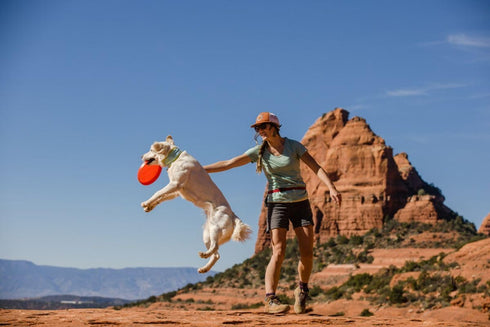 Ruffwear Camp Flyer Dog Toy, Lightweight Flexible Disc for Throw and Fetch, Red Sumac