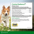 ULTIMATE PET NUTRITION Canine Radiance Skin Allergy Support Supplement for Dogs, 60 Chewable Tablets
