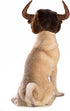 Dog Horn Wig for Halloween & Christmas - Funny Pet Bull Costumes for Dog & Cat, Clothing Accessories (Size M)