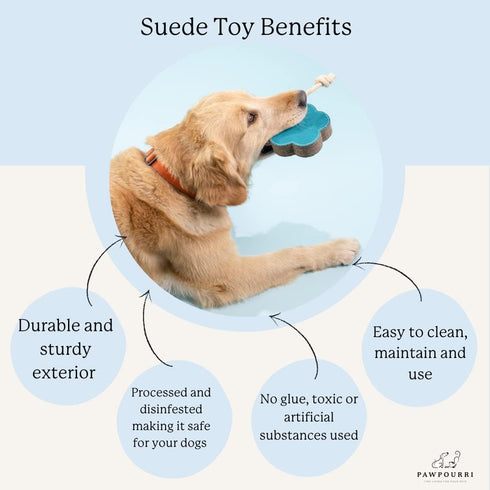 Triangle Shape Natural Suede Leather Chew Toy for Medium to Large Dogs, Pack of 2