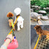 Creation Core Reflective Dog Leash Green, Durable Padded Strap for Puppy, 6.5Ft Long, 0.8" Wide