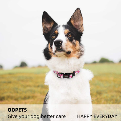 QQPETS Adjustable Soft Dog Collar - Print Flower Pink Multicolor Patterns for XS Small Medium Large Pets