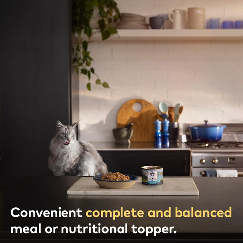 ZIWI Peak Canned Wet Cat Food, All Natural, High Protein, Grain Free, Limited Ingredient, Superfoods (Mackerel, Case of