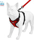 Voyager Step-in Lock Dog Harness w Reflective Dog Leash Combo Set for Small, Medium and Large Breed Puppies/Cats by