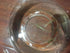 Beauty Yi 10 Adult Ghost Shrimp (Palaemonetes paludosus aka Grass Shrimp, Glass Shrimp, Freshwater River Shrimp) Great