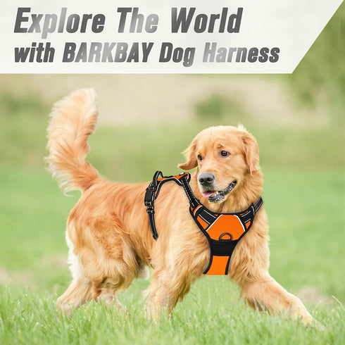 BARKBAY No Pull Dog Harness with Front Clip - Heavy Duty Reflective Control Handle for Large Dog Walking (Orange, S)