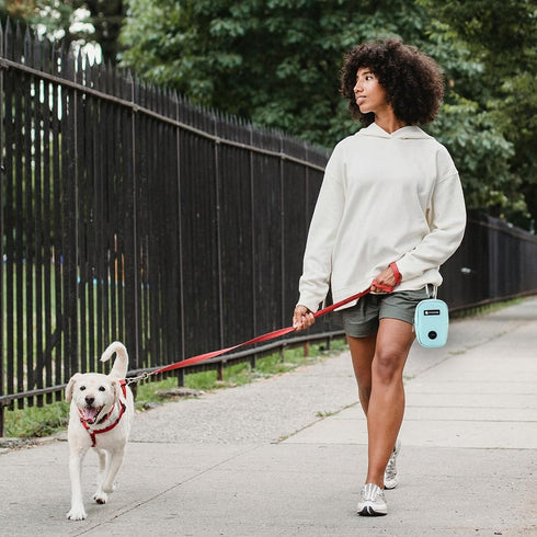 Dog Treat Pouch and Poop Bag Holder for Leashes, Hands Free Dog Waste Bag Dispenser, Perfect for Training