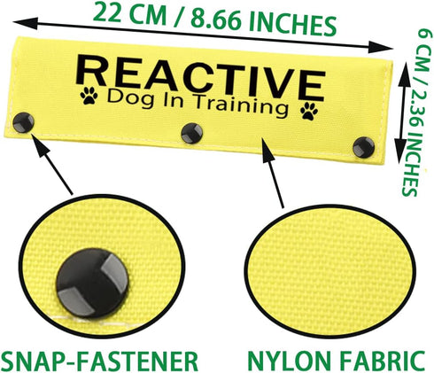 JXGZSO Reactive Dog Leash Sleeve, Do Not Stare Training Wrap for Service Dogs (Reactive D in Train DLS)