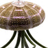 BubbleBlooms Large Hanging Tillandsia Jellyfish Plant