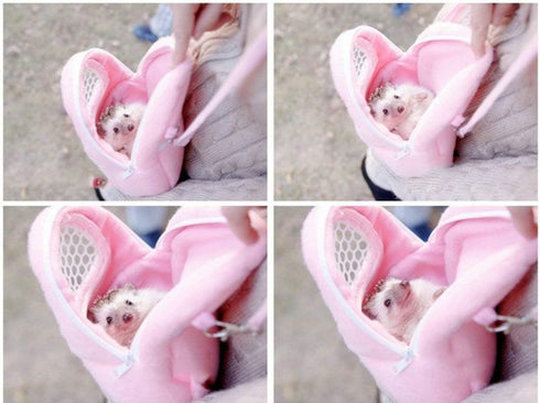 Portable Pet Dog Carrier Bags, Breathable African Hedgehog Hamster Handbags, Puppy Cat Travel Backpack (S Size: 17x12cm)