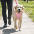 BARKBAY No Pull Dog Harness Large Reflective Dog Harness with Front Clip and Easy Control Handle for Walking Training