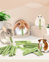 35PCS Chinchilla Bissap Rabbit Chew Sticks, Natural Papaya Stems Bunny Chews Treats for Rabbit Hamster Guinea Pig Small