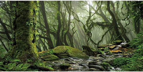 AWERT Foggy Forest Terrarium Background, Stream Green Huge Tree, 24x12 inches Durable Polyester Background.