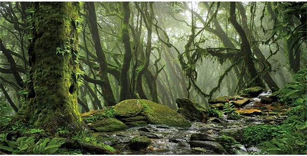 AWERT Foggy Forest Terrarium Background, Stream Green Huge Tree, 24x12 inches Durable Polyester Background.