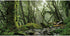 AWERT Foggy Forest Terrarium Background, Stream Green Huge Tree, 24x12 inches Durable Polyester Background.