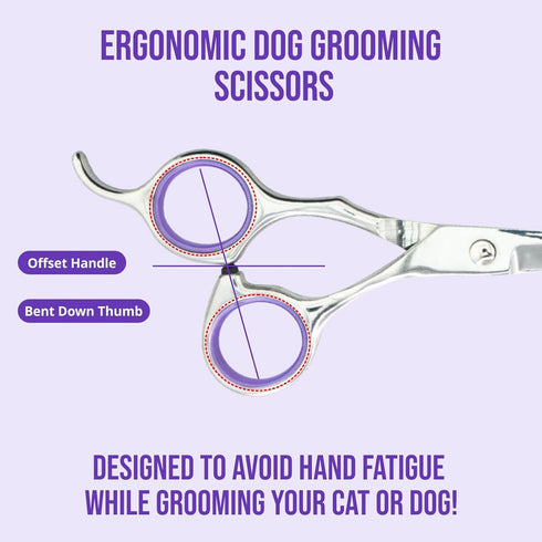 Grooming Scissors, Stainless Steel Dog Shears with Safety Rounded Tip, Set of Two in Leather Cover