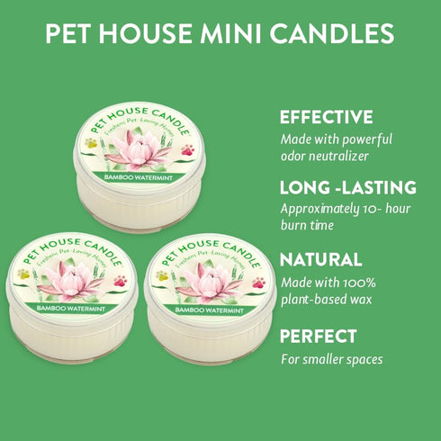 Pet House Mini Candles Pack of 3 for Pet Odor, Natural Soy Wax, Dog and Cat Friendly Bamboo Watermint Scented