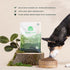 Open Farm Kind Earth Plant Based Dry Dog Kibble, Natural Vegan Dog Food, Nutrient-Dense, 3.5 Pound Pack