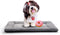 Dog Beds Crate Pad for Small Dogs, Ultra Soft Washable & Anti-Slip Kennel Pad, Cat Bed Mat, Gray 24inch