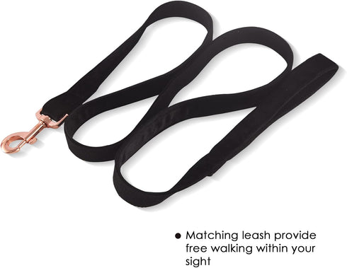 Velvet Dog Collar and Leash Set for Small Medium Large Dogs, Training & Walking Leash