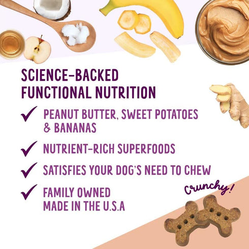 Health Extension Oven-Baked Dog Treats, 6oz, Peanut Butter & Banana Recipe, Gluten & Grain-Free, Crunchy Biscuits