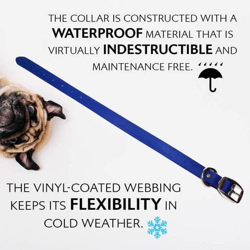 Regal Dog Products Medium Blue Waterproof Collar with Heavy Duty Black Hardware Buckle & D Ring | Adjustable Biothane