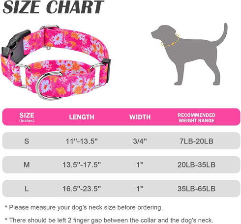 Martingale Collar for Dogs, Cute Floral Dog Collar for Small Medium Large Dogs, Spring Summer Daisy Dog Collars (Hot