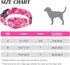 Martingale Collar for Dogs, Cute Floral Dog Collar for Small Medium Large Dogs, Spring Summer Daisy Dog Collars (Hot
