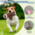 Act boldly 5-Pack Squeaky Dog Toys Durable Animal-Shaped Plush Chew Toys for Dogs, Handmade Interactive Puppy Toys