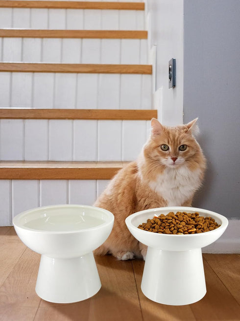 Elevated Cat Food and Water Bowls Set - Extra Wide Raised Ceramic Feeder for Kittens and Small Dogs (White)