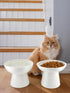 Elevated Cat Food and Water Bowls Set - Extra Wide Raised Ceramic Feeder for Kittens and Small Dogs (White)