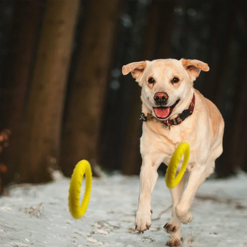 Dog Flying Disc, Indestructible Floating Ring Toys for Small Chewers, Durable Outdoor & Indoor Puppy Toy