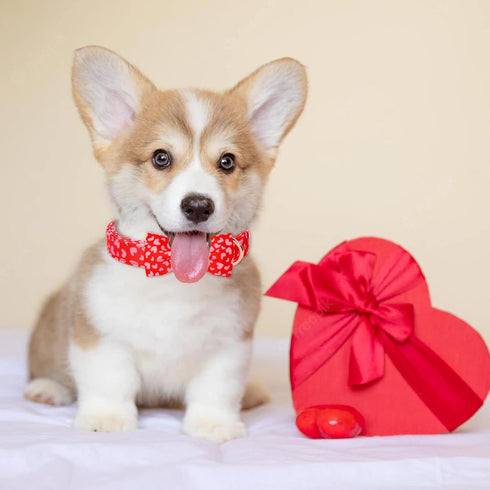 Valentine's Day Dog Collar with Bow Tie, Adjustable Pink Red Love Collar for Small Medium Large Boy & Girl Dogs, L-Neck