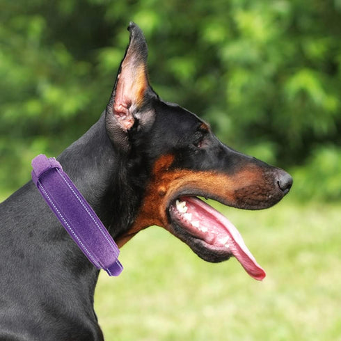 Tactical Dog Collar with Heavy Duty Metal Buckle and Control Handle for Medium Large Dogs Training, Purple, Large