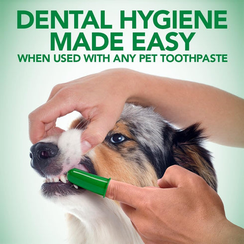 10 Pack Vets Best Dog Toothbrush - Easy Teeth Cleaning for Dog Dental Care, Perfect for Dogs and Cats - Comes With Soft