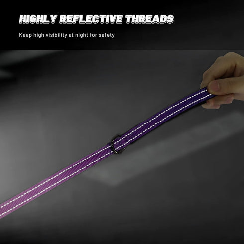 Reflective Dog Collar and Leash Set, Adjustable Purple Martingale Collar and Leash for Medium Dogs, Durable Nylon