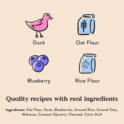 Bocce's Bakery Quack, Quack, Quack Training Treats for Dogs, 6 oz Wheat-Free Duck & Blueberry, All-Natural