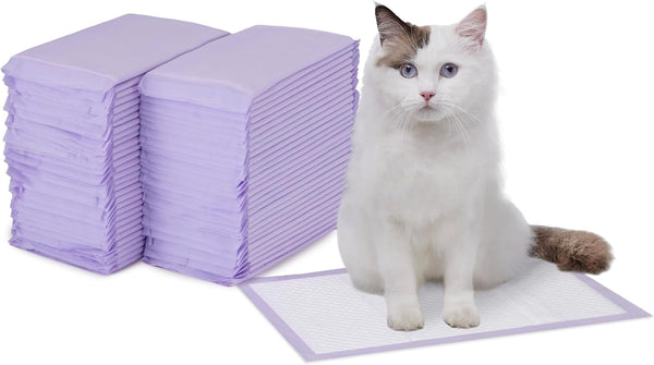Amazon Basics Cat Pee Pads, Odor Control, Super Absorbent, Disposable, Universal Fit