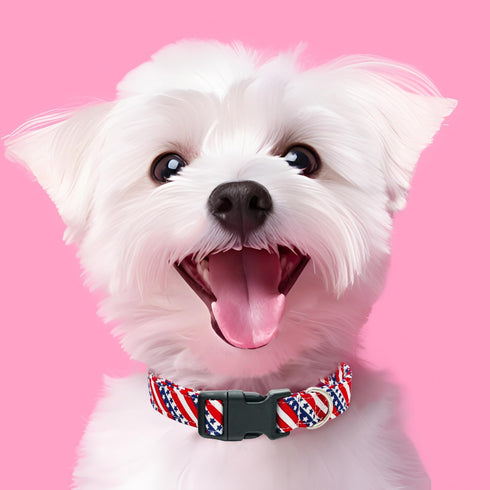 American Flag Dog Collar, 4th of July Adjustable Patriotic Collar for Small Medium Large Dogs, Strong Plastic Buckle