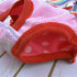 Sinknap Dog Sanitary Diaper Polka Dot Striped Female Dog Sanitary Panties Cute Compatible with Outdoor Polka Dot Pink