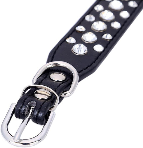 Dogs Kingdom Personalized Rhinestone Leather Bling Crystal Pet Dog Cat Collars, 12"-20" Length, Black S