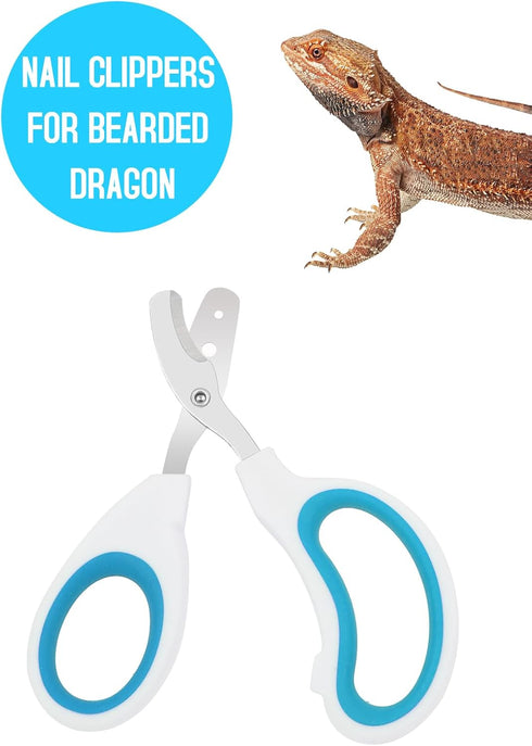 Engorgio Stainless Steel Bearded Dragon Nail Clippers,Lizard Nail Clippers,Bearded Dragon Supplies,Bearded Dragon Nail