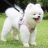 5-7FT Reflective Bungee Dog Leash, Anti-Pull Shock Absorption Nylon Elastic Walking Leash for Small Medium Dogs/Cats