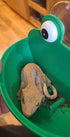 2 Pieces Frog Habitat with Dual Suction Cups, Cute Fish Tank for Small Aquatic Animals