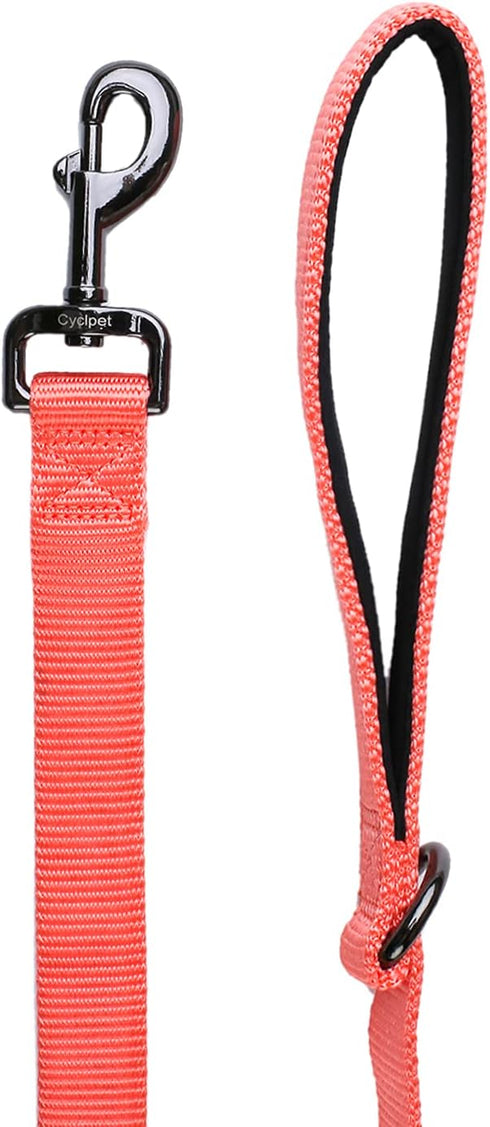 4 Feet Dog Leash with Padded Handle-Sturdy Nylon Dogs Leads for Small Medium Large Giant Dogs Walking,Training,Hiking,Jogging,Camping,etc (Living Coral, Large: 4 Feet Length × 1 Inch Width)