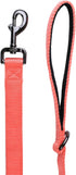 4 Feet Dog Leash with Padded Handle-Sturdy Nylon Dogs Leads for Small Medium Large Giant Dogs Walking,Training,Hiking,Jogging,Camping,etc (Living Coral, Large: 4 Feet Length × 1 Inch Width)