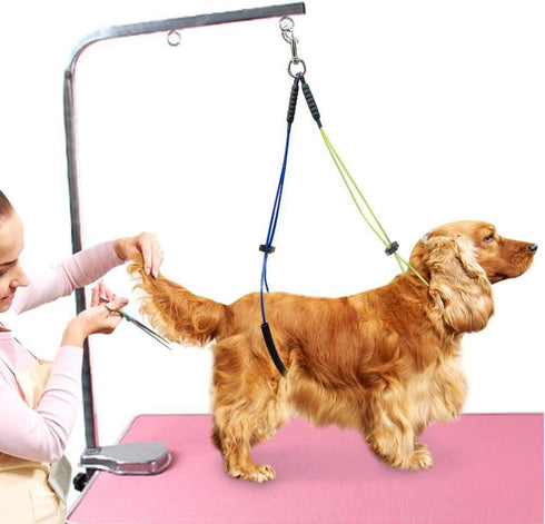 TOPINCN Dog Grooming Restraint Rope Adjustable Pet Grooming Leash Pet Grooming Table Harness for Pet Grooming Table Pet Grooming Loop(Yellow and Blue)